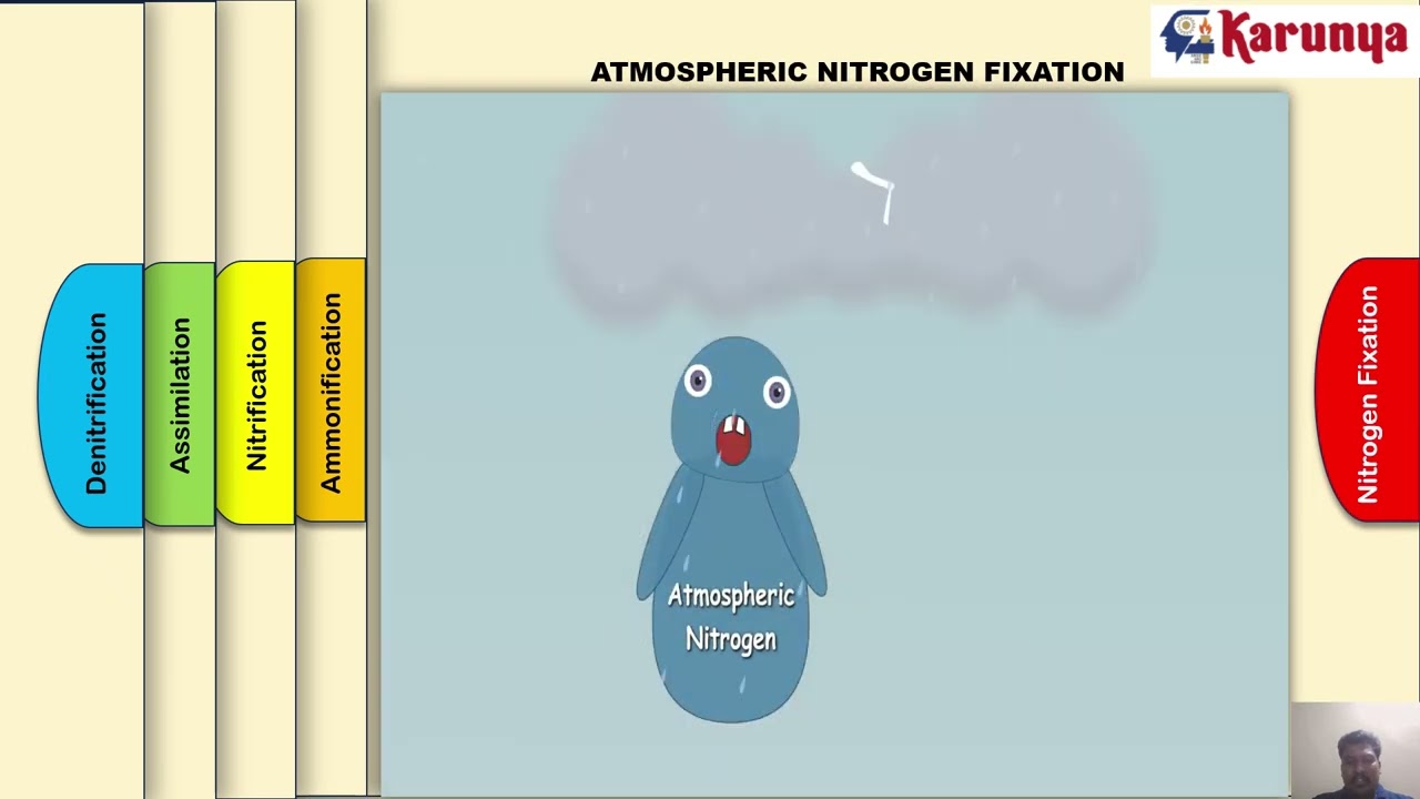 Transformation of Nitrogen in soil