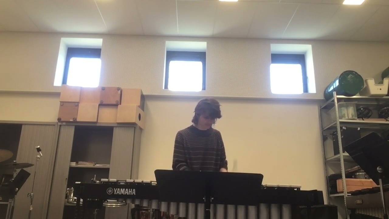 Flim (Aphex Twin) - Robin Mercelis