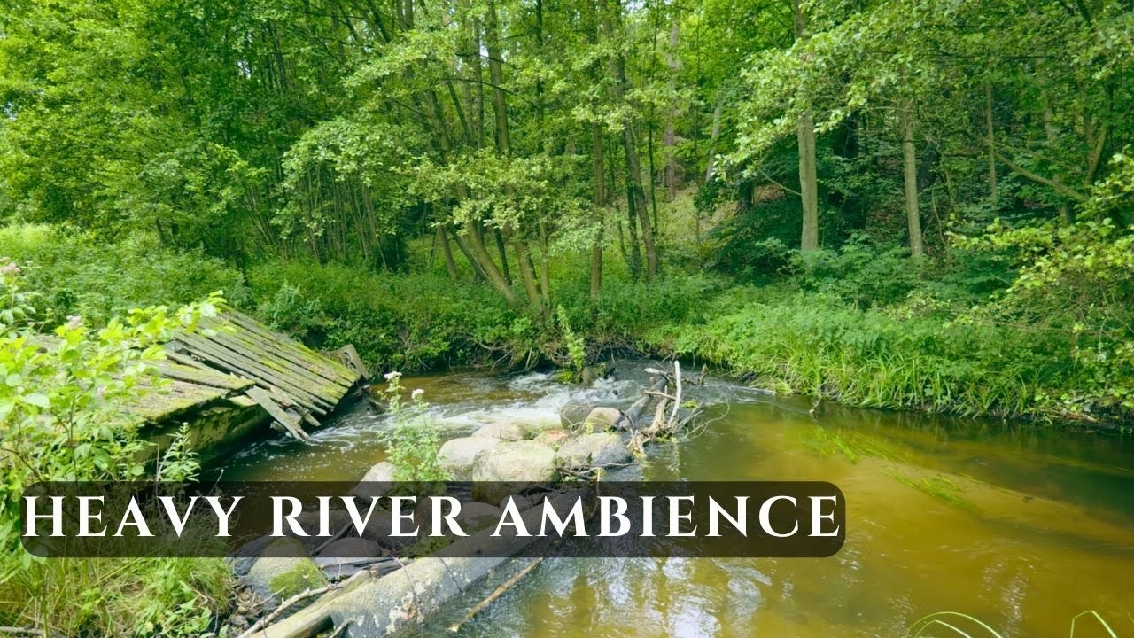 Белый шум лесной реки (низкие частоты) • Глубокий звук воды для фокуса