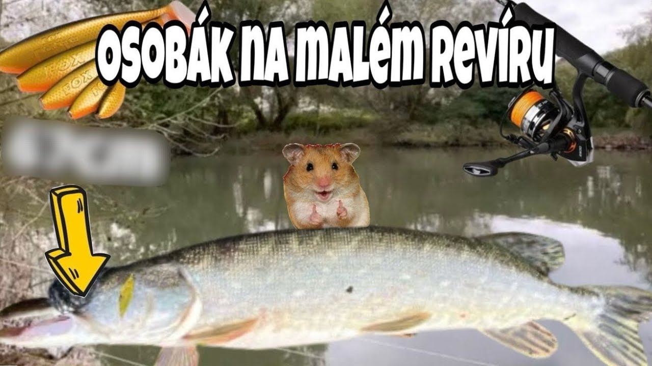 Zkouším nové velké nástrahy a tohle se stalo…😱🎣