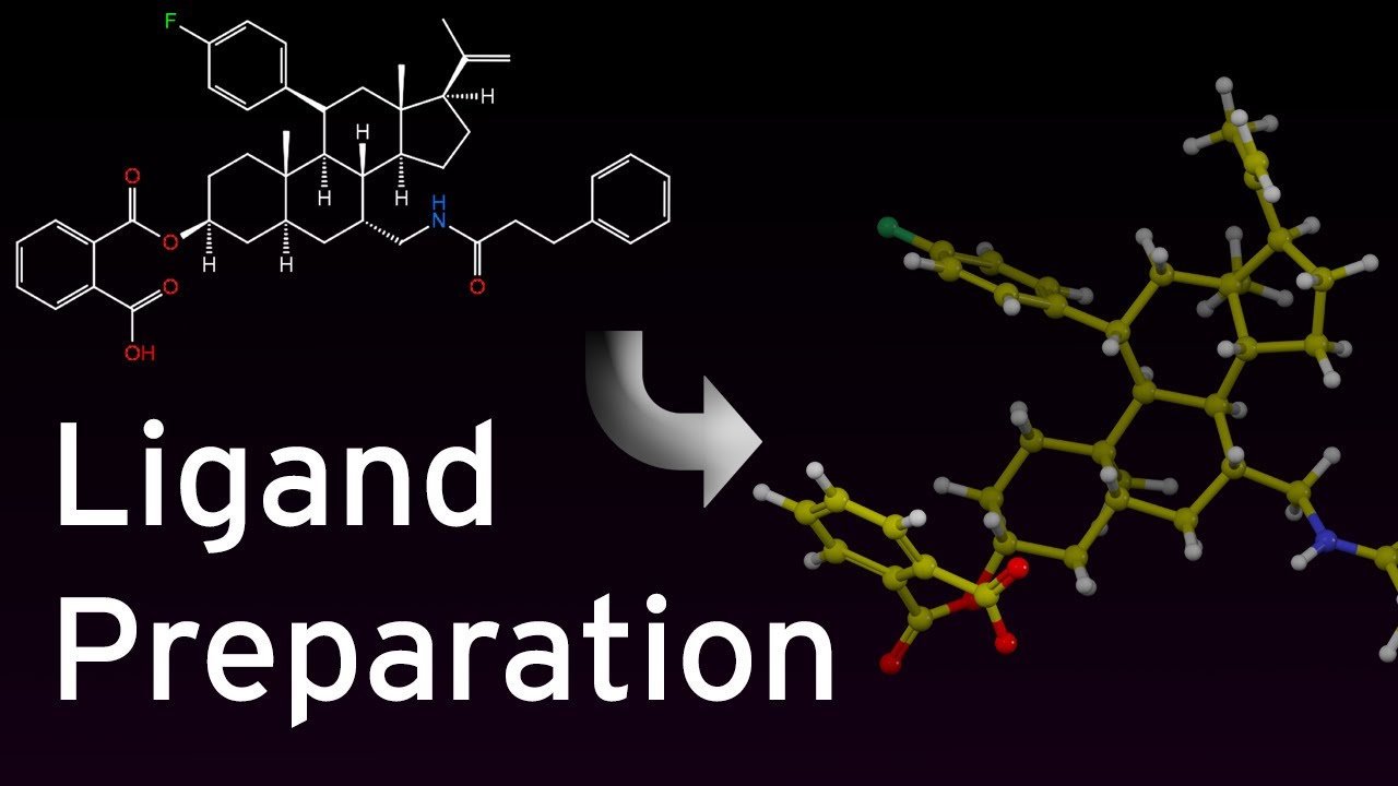 [OUTDATED] Ligand Preparation with LigPrep
