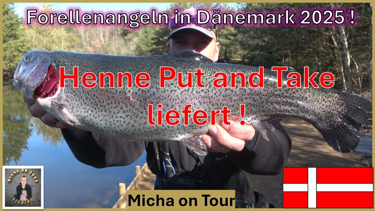 Forellenangeln in Dänemark ! / Mit Ultralight zum Fisch !