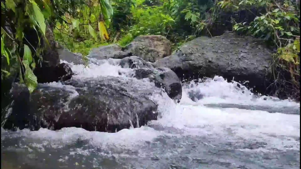 Powerful River Sounds Live 🌊 Fast Flowing Water for Deep Sleep, Focus & Relaxation