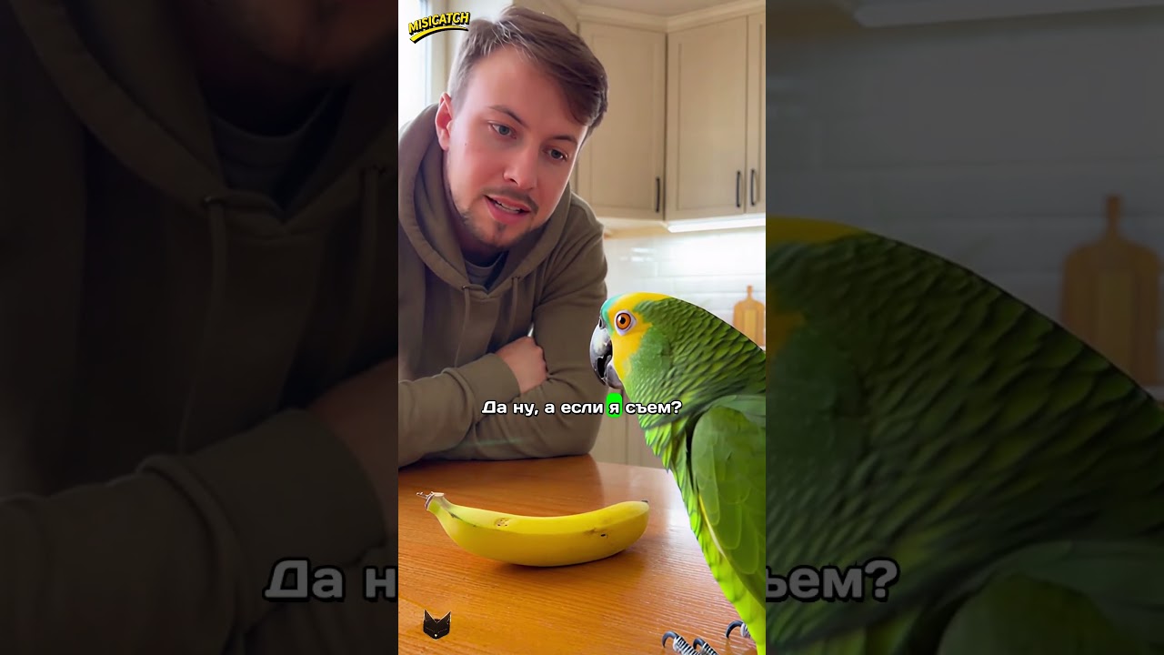 ГОША ПРОДАЛ БАНАН СОСЕДУ! 😱🍌 ОН ЮРИСТ ПО ОРЕХАМ!