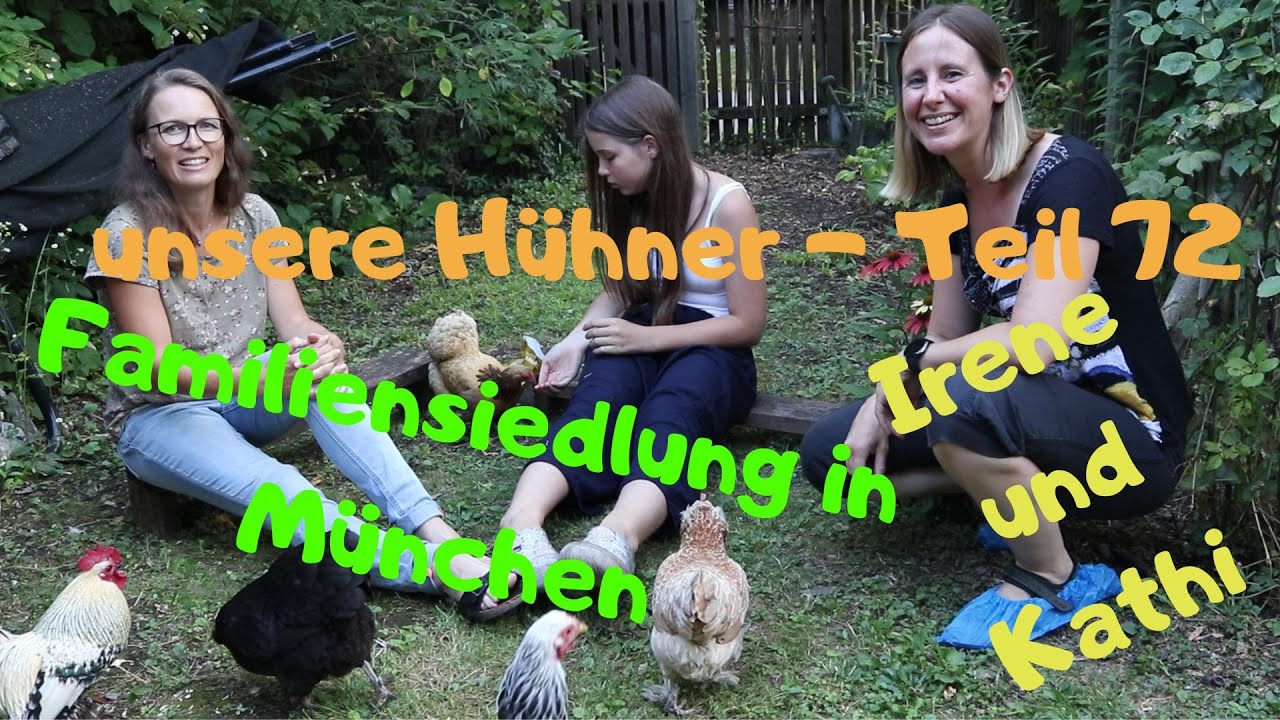 Teil 72: bei Irene und Kathi in einer Familiensiedlung in München - süße Zwerghühner