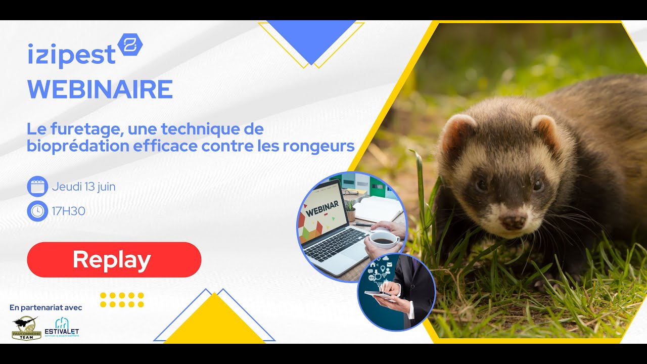 Webinaire : Le furetage  une technique de bioprédation efficace contre les rongeurs