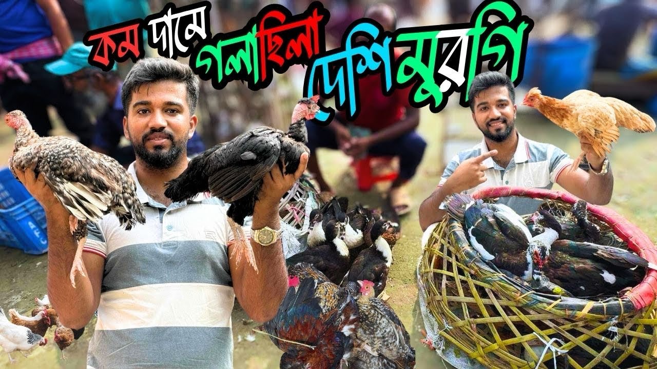 চিনা হাঁস বিক্রি করে গলাছিলা দেশি মুরগি কিনে নিয়ে আসলাম আজকের হাটে । দাম কত জানুন?