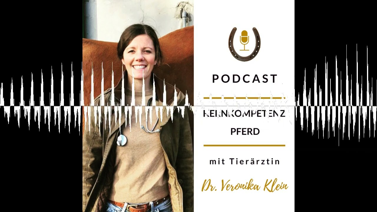 Strahlfäule beim Pferd - Kernkompetenz Pferd - Pferdegesundheit mit Tierärztin Dr. Veronika Klein