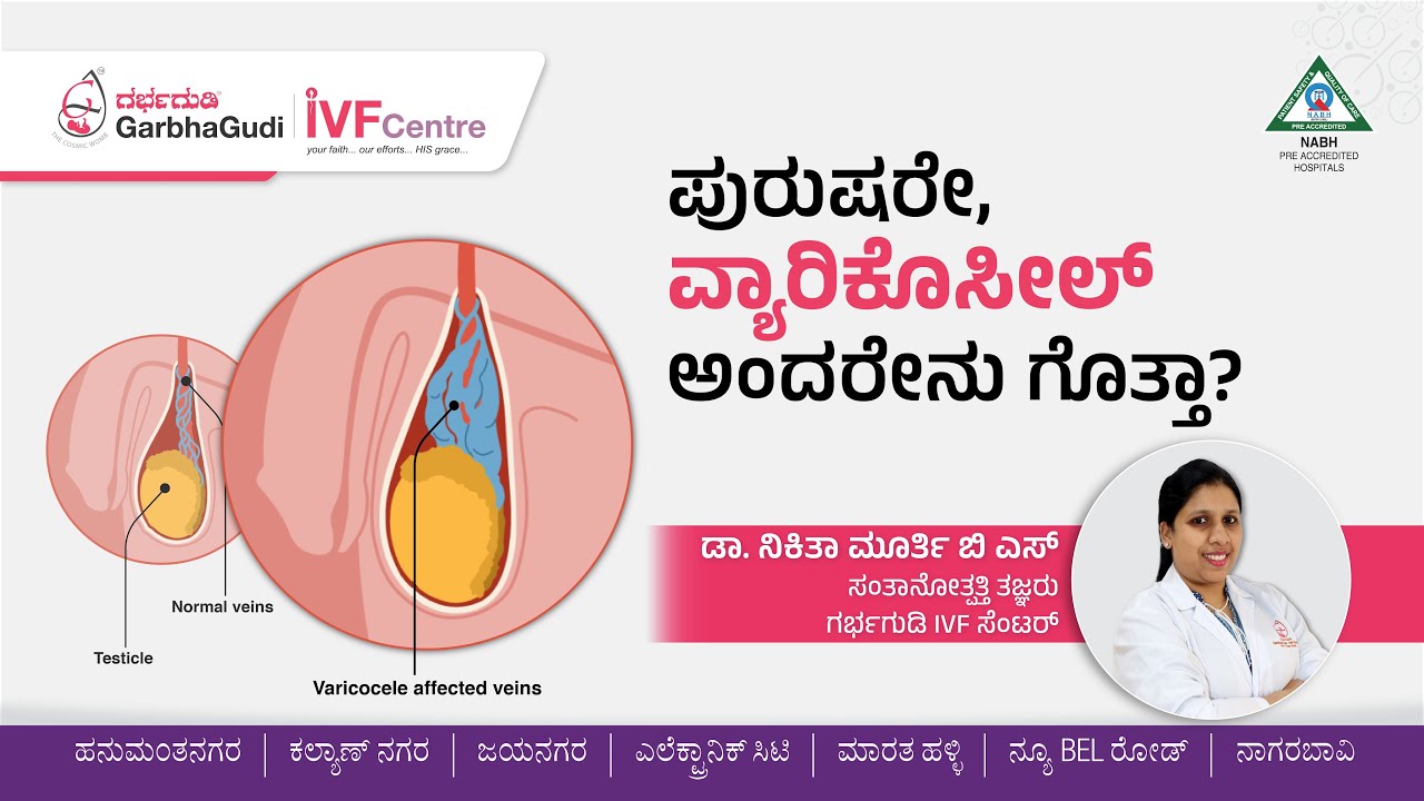 ಪುರುಷರೇ, ವ್ಯಾರಿಕೊಸೀಲ್ ಅಂದರೇನು ಗೊತ್ತಾ? | Varicocele Problem In Men Explained In Kannada | Dr. Nikitha