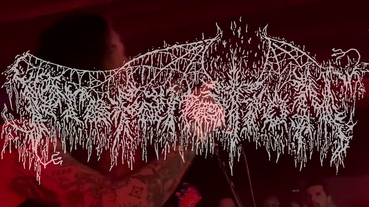PROFANATION - Skull Crushing Violence (Live @ No Man's Land Industry-Nantes)