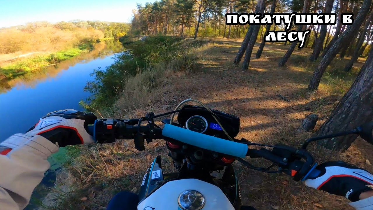 Одиночные покатушки по лесу на Shineray 250 6C