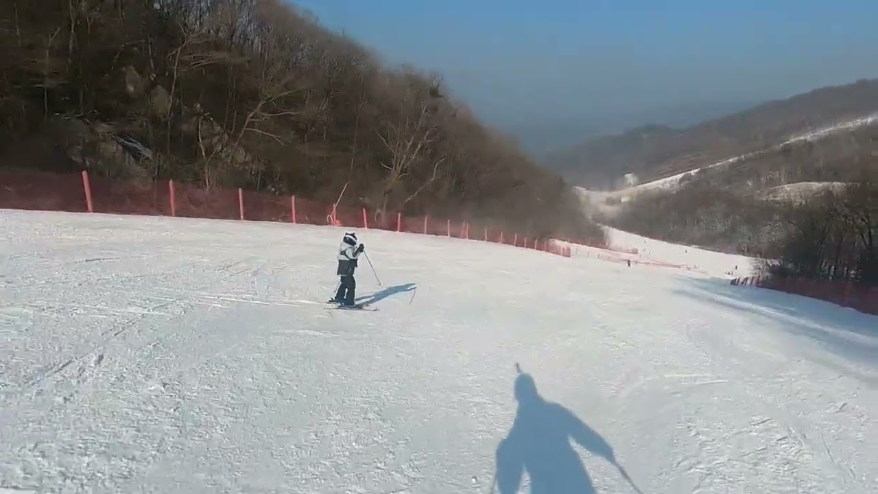 2026년 2월 22일