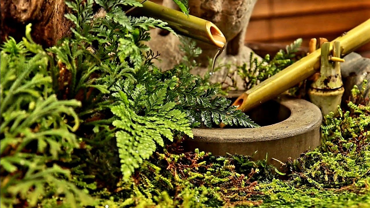 diy zen style terrarium with pond and moving bamboo fountain shishi odoshi 젠스타일 시시오도시 테라리움