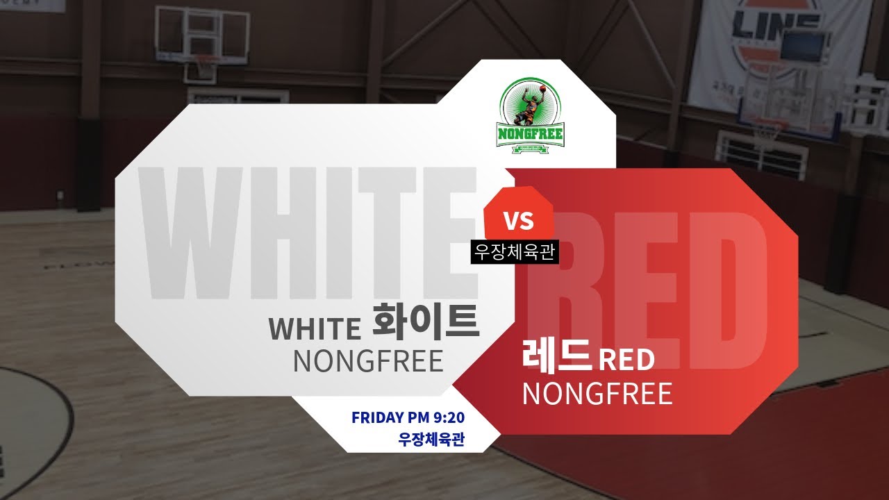 [쿼터 하이라이트] 농프리 | 화이트 vs 레드 | 2026.02.13