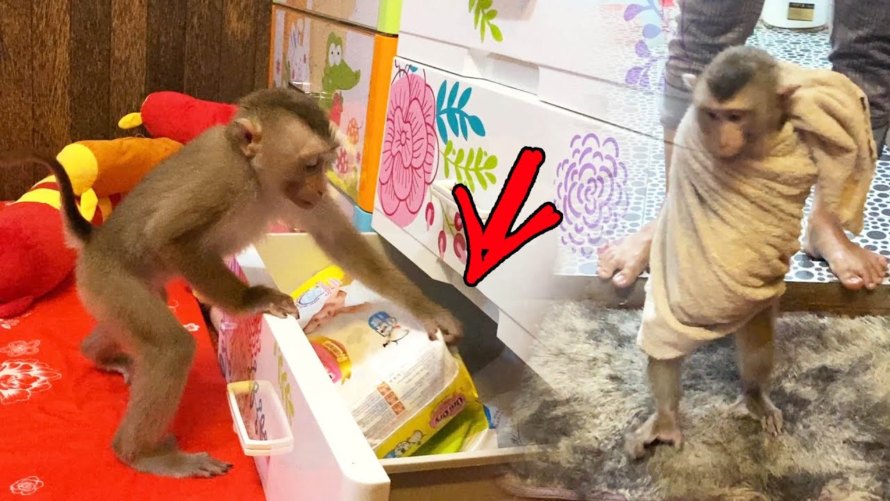 As Always, Judee Never Forget Her Nappy After Bathing