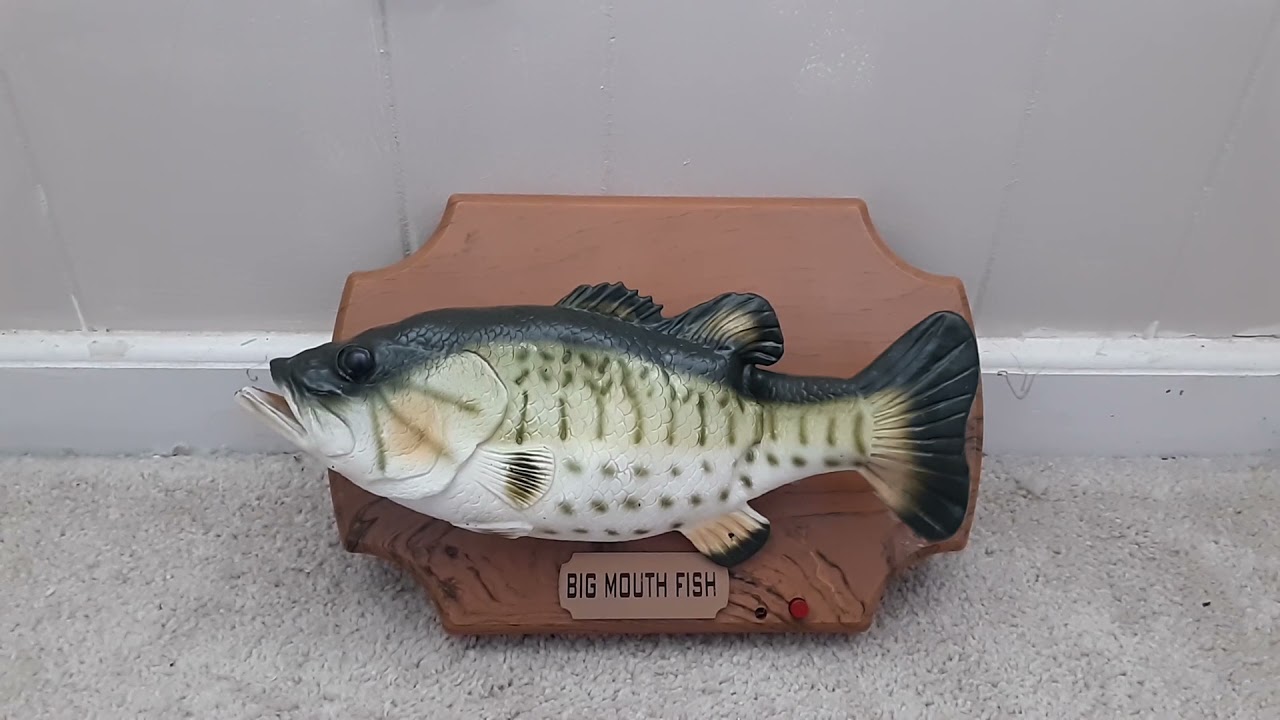 Arabic Big Mouth Fish the singing sensation