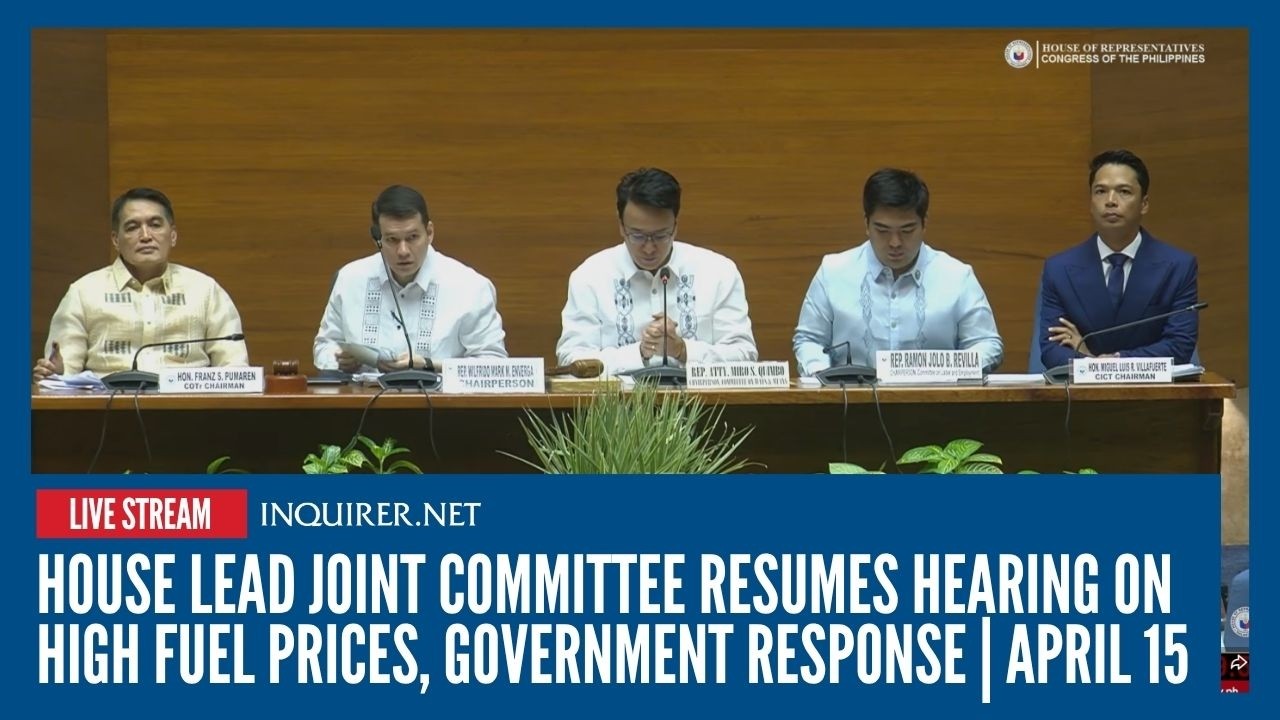 LIVE: House LEAD joint committee resumes hearing on high fuel prices, government response | April 15