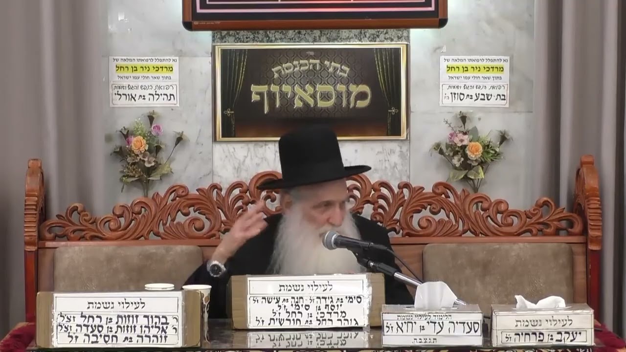הרב יוסף שטרית | פרשת השבוע | מוסאיוף