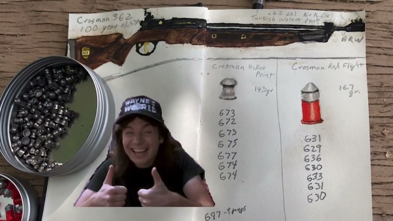 100 yr edition Crosman 362:  Quality worthy of artwork;  great looks, feel and performance.