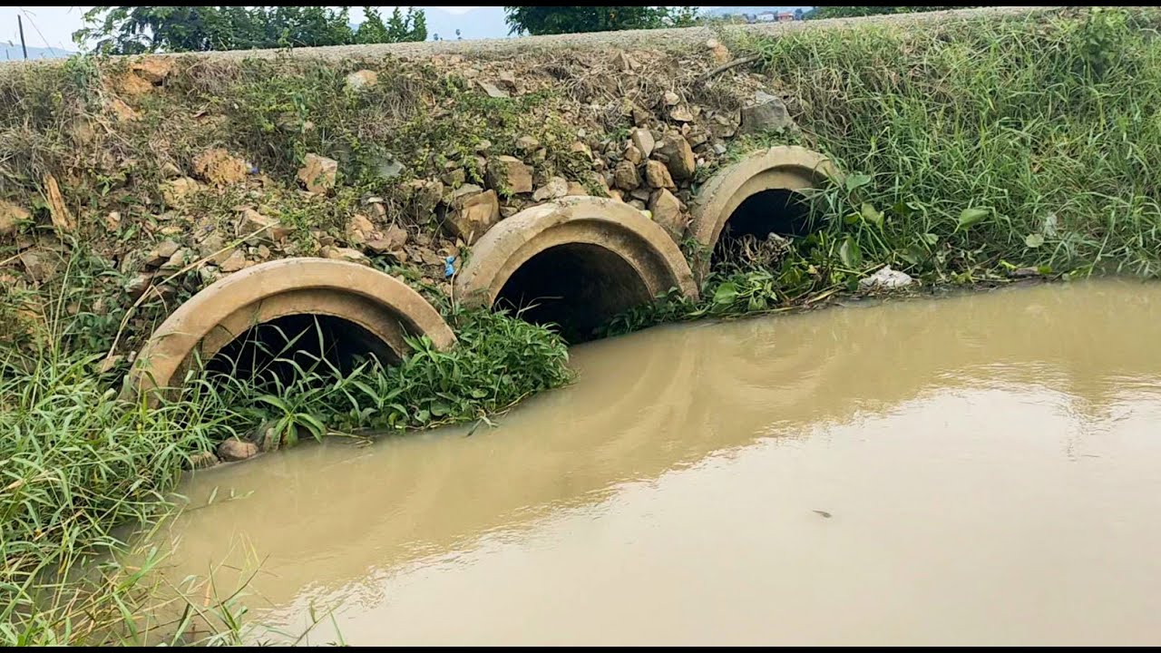 Unclogging Three Culvert Drain Clogged By Plants To Bring Water To The Rice Fields #unclogging