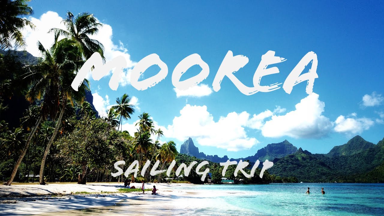 Moorea Island sailing trip🏵️ French polynesia
