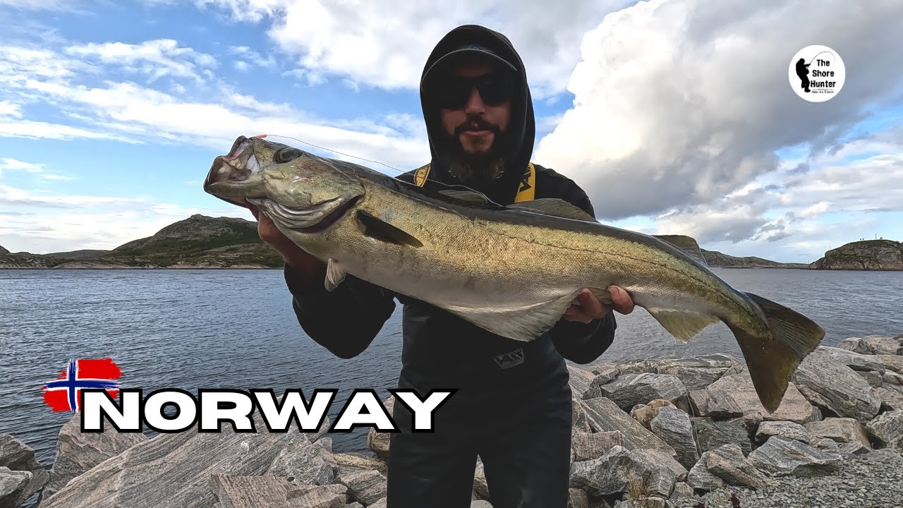 Sea Fishing Norway, The Shore Hunter & Friends 4K Drone Fishing