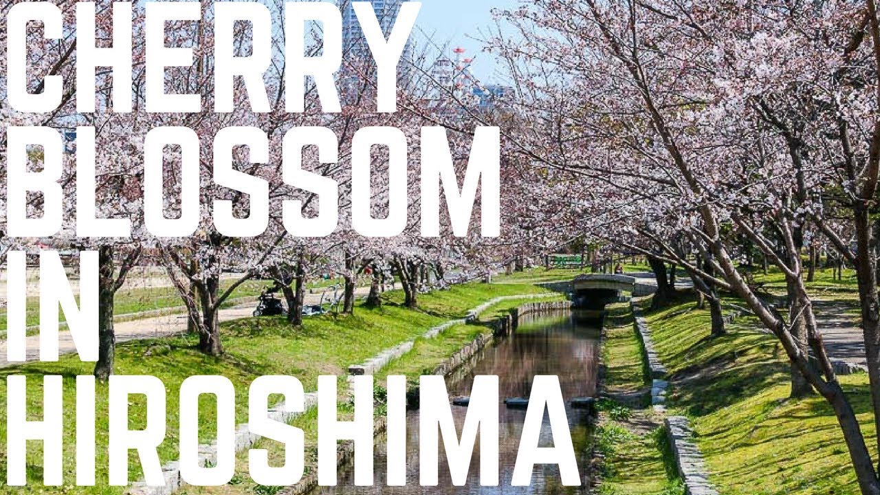 ATOMIC BOMB DOME & PEACE PARK - CHERRY BLOSSOM - THINGS TO DO IN HIROSHIMA, JAPAN