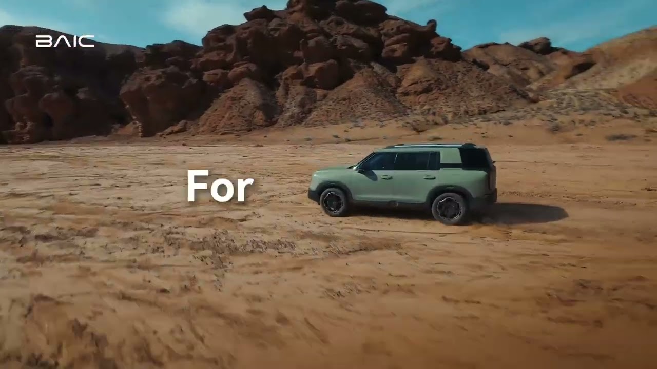 BJ30 moves with your wild