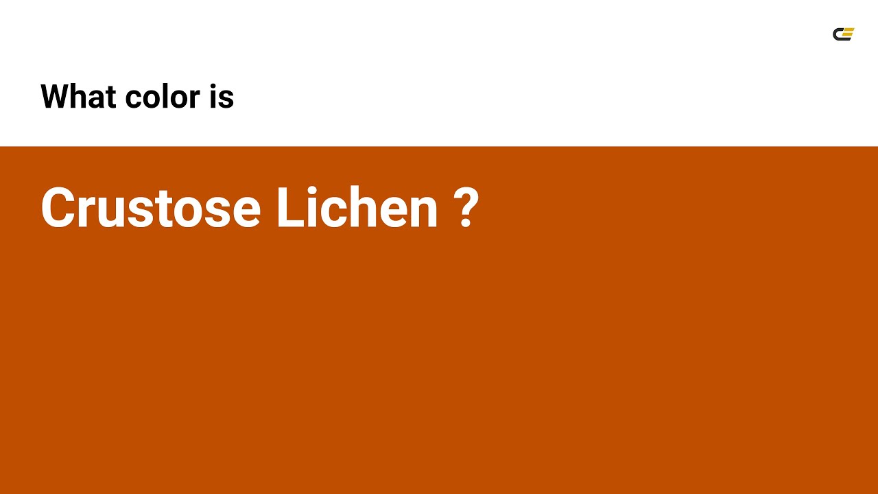 Crustose Lichen color #c04e01 hex color - Orange color - Cool color c04e01