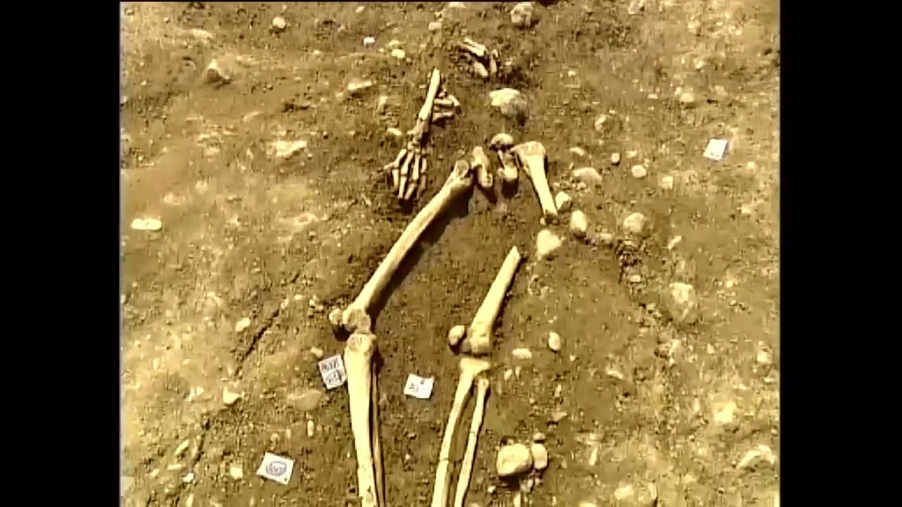 Discovery of Viking Remains, Dublin City, Ireland 2005