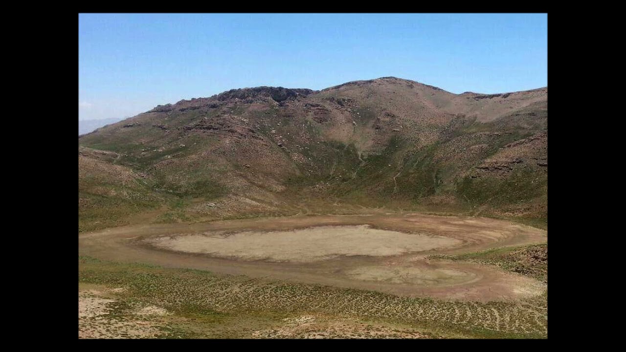 نهالی شانی در کوه و تپه ها