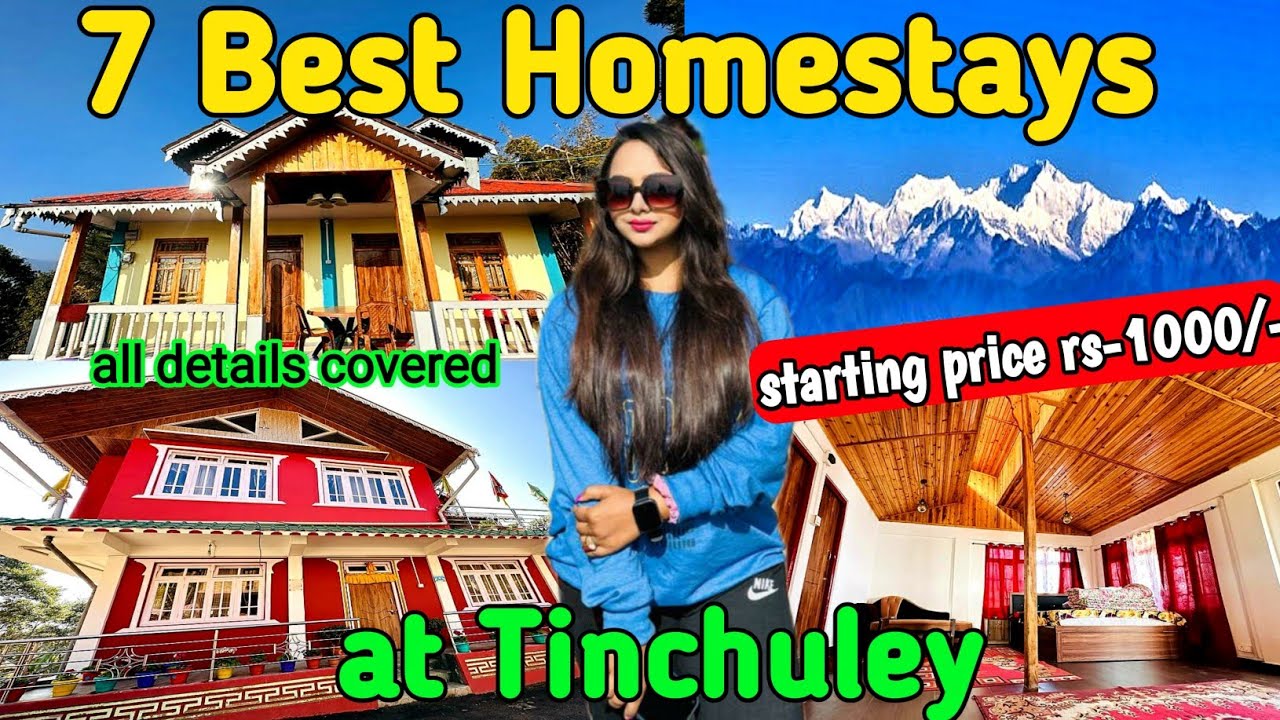 7 Best Tinchuley Homestays | তিনচুলের কোনটা সেরা Homestay ? | North Bengal Tour 2023
