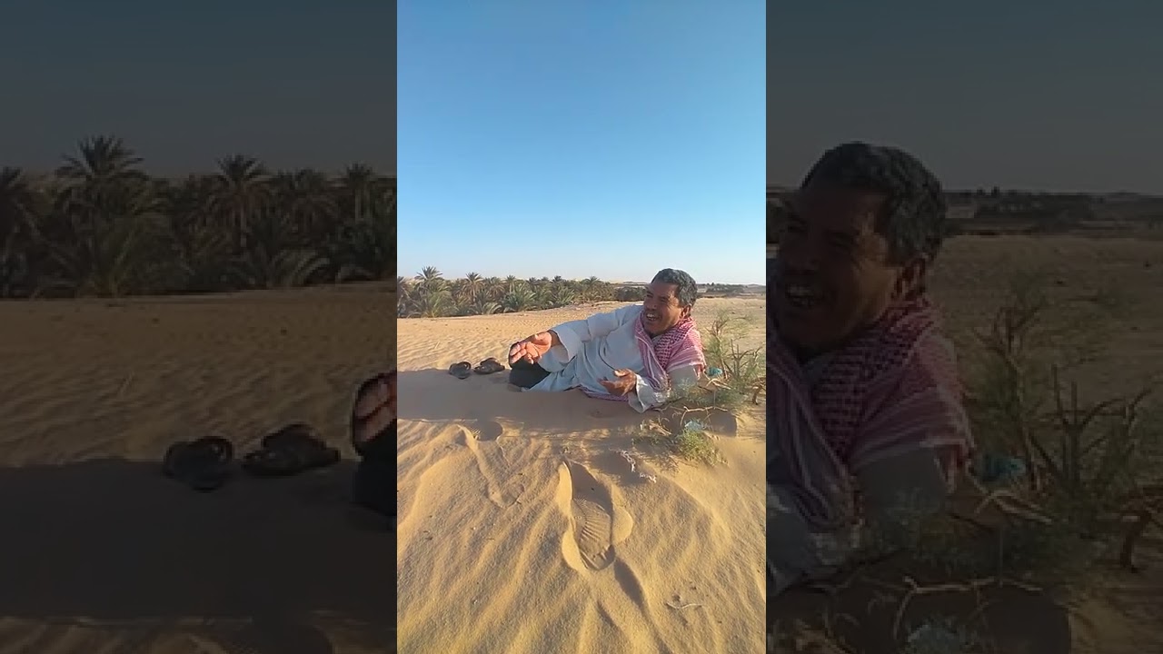 ٣١ مارس ٢٠٢٢