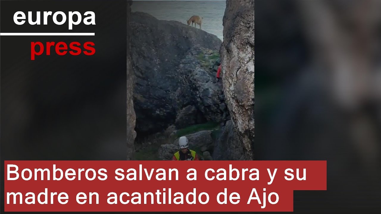 Los bomberos rescatan en un acantilado de Ajo a una cabra recién nacida y a su madre