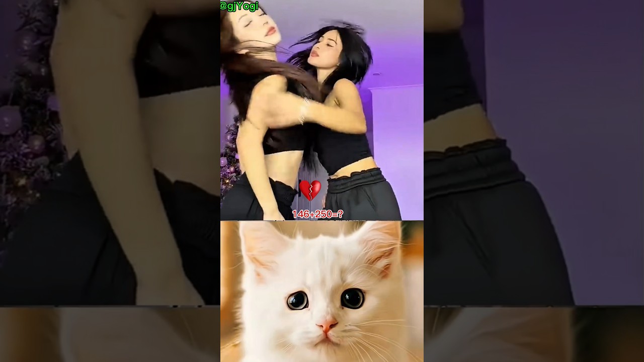 #cat