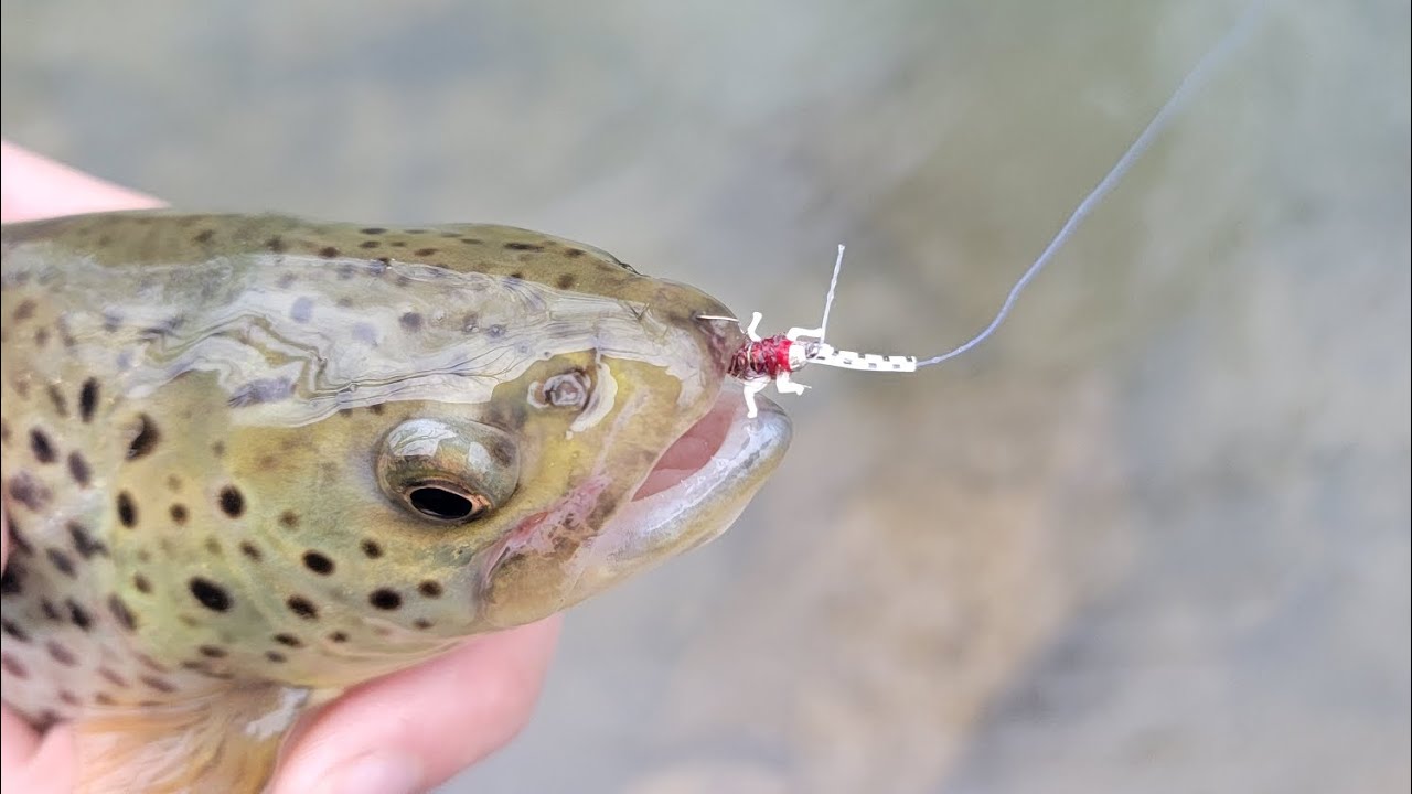 Lively Legz Nymph Fishing