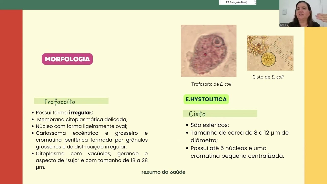 Aula 30   Doenças causadas por protozoários  Amebíase e Toxoplasmose