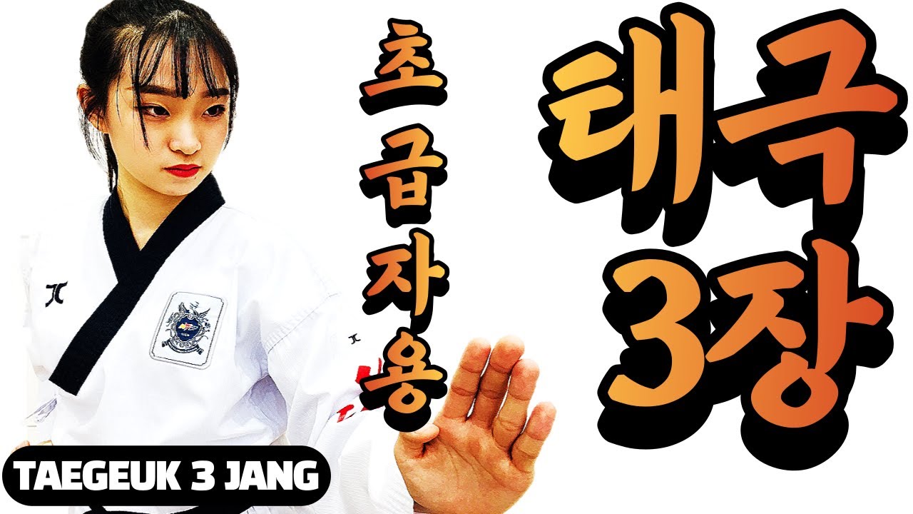 태극 3장 / 초보자는 이 영상만 보세요(앞 뒷모습 같이보세요) / Tae geuk 3 jang /Step-by-Step with Front & Back Side Views