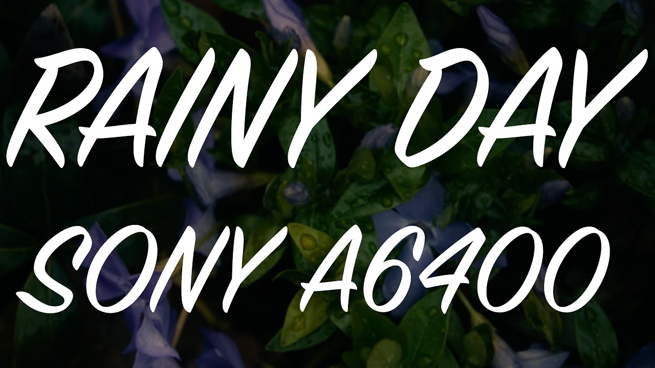 Rainy Day | Sony a6400 Slog 3 Cinematic 4K Video