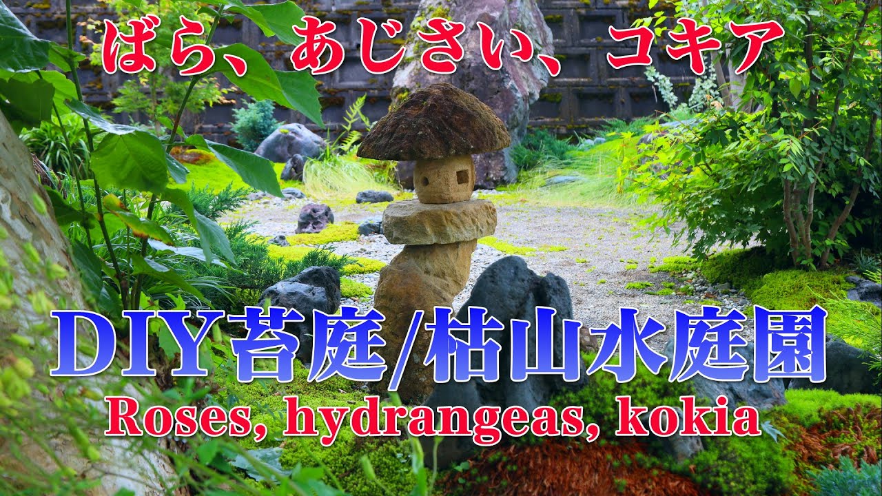 4K DIY苔庭の隣に薔薇を植え洋風の庭を作りました/I planted roses next to the moss garden to create a Western-style garden.