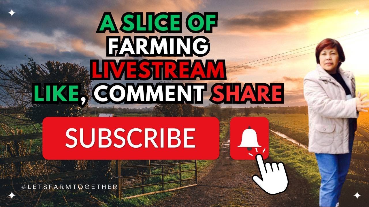 11th ..SLS as Monetized channel ..January 2024 HAPPY NEW YEAR EVERYONE...