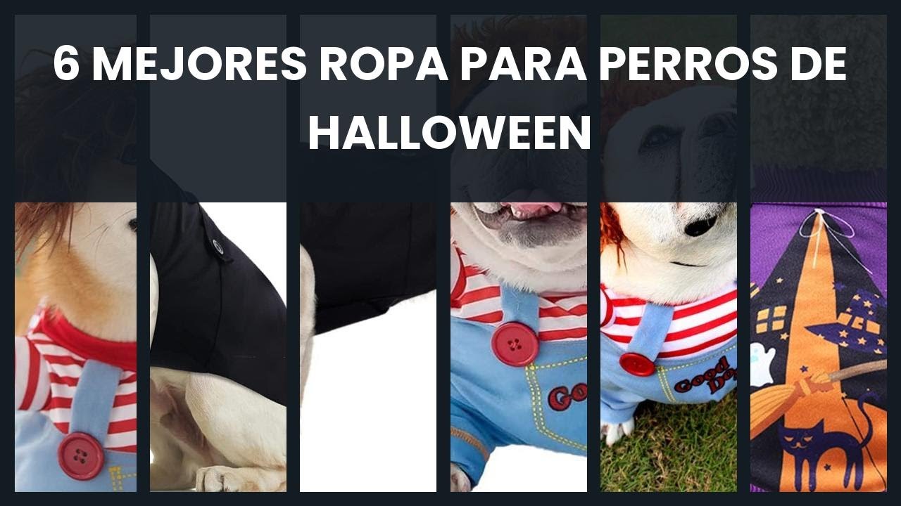 Ropa para perros de halloween: 6 mejores ropa para perros de halloween