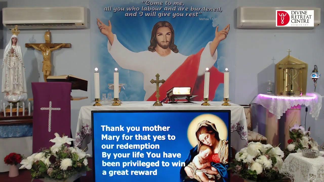 Catholic Online Holy Mass