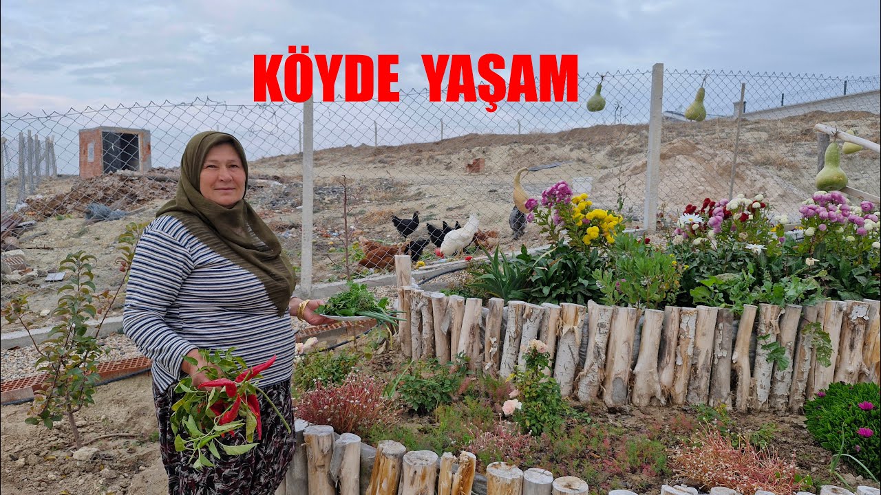 K&Ouml;YDE DOĞAL YAŞAM ORGANİK BAH&Ccedil;EMİZDEN NELER KOPARDIK