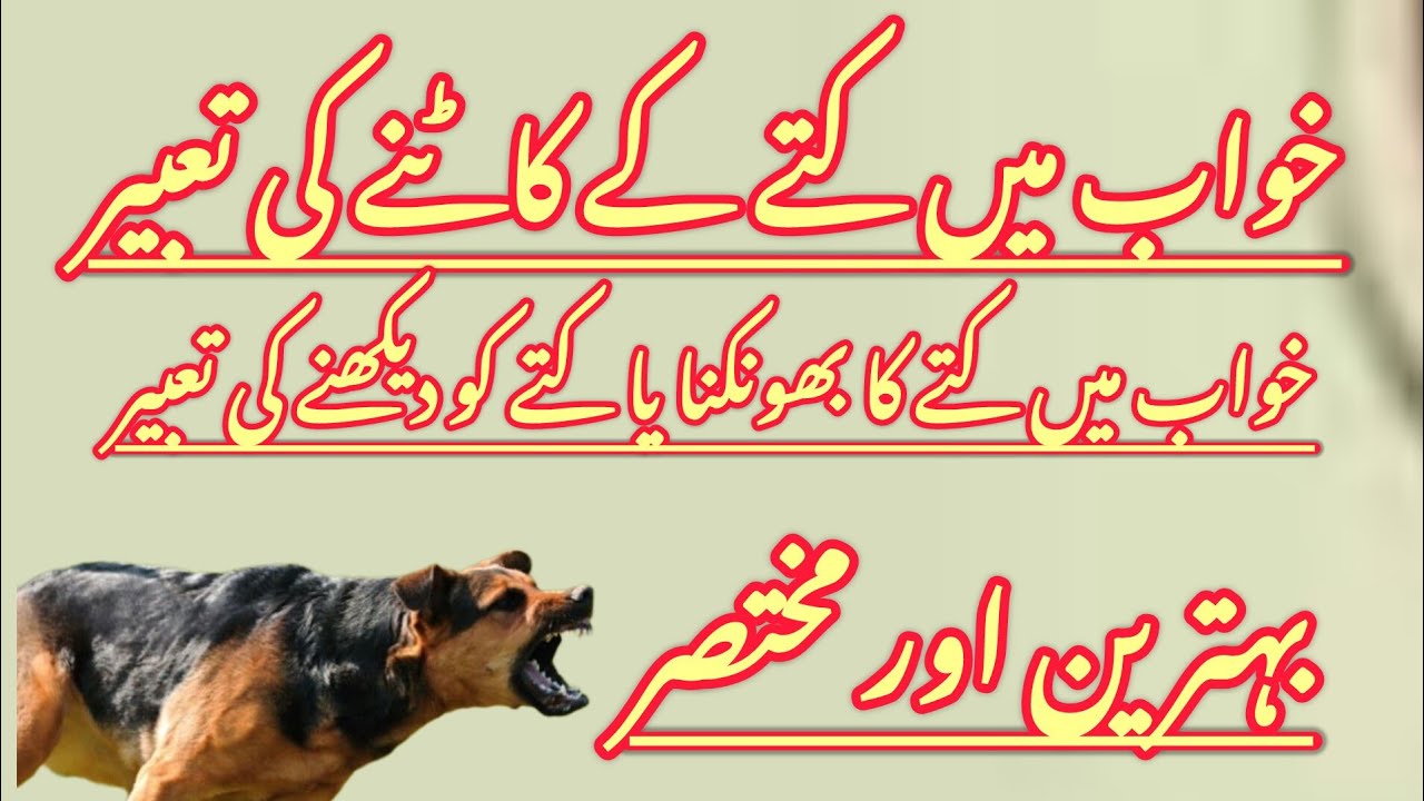 خواب میں کتادیکھنا کتے کا کاٹنا کتے کے بھونکنے کی تعبیر#خواب #خواب کی تعبیر#اسلامی تعبیر