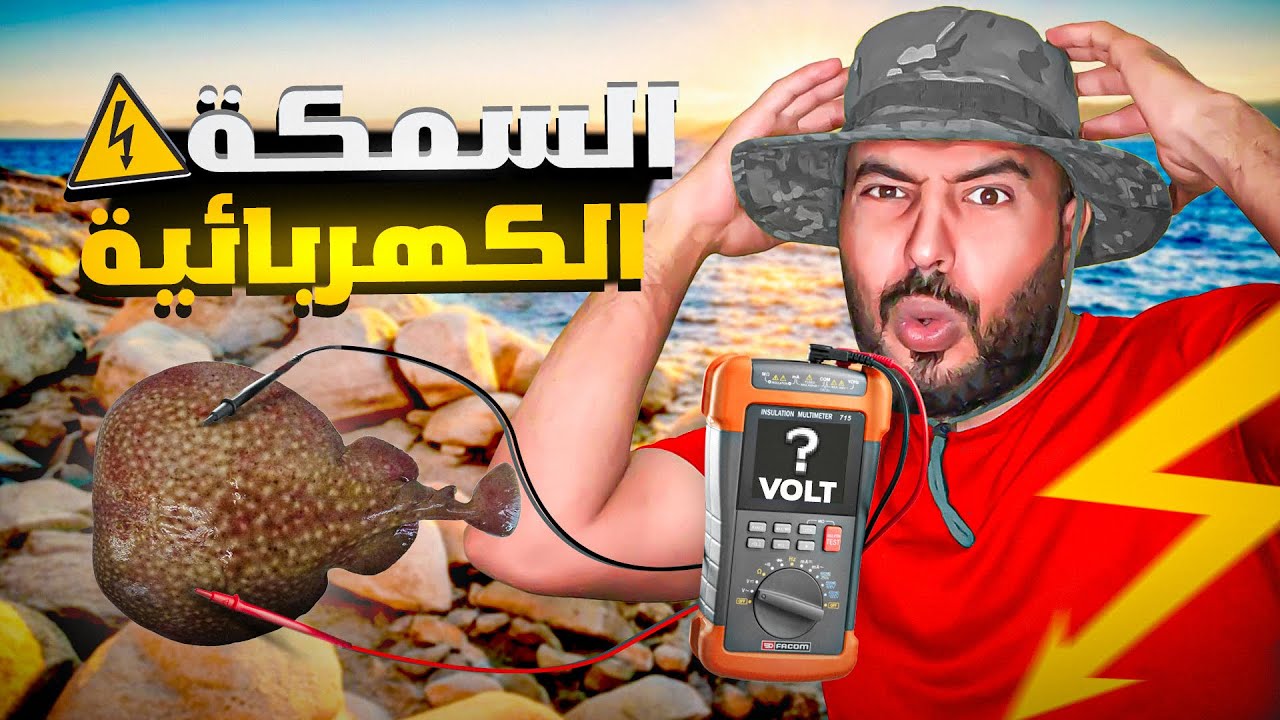 مغامرة صيد اغرب سمكة: قدرات مذهلة لم تكن تعلم بوجودها !!