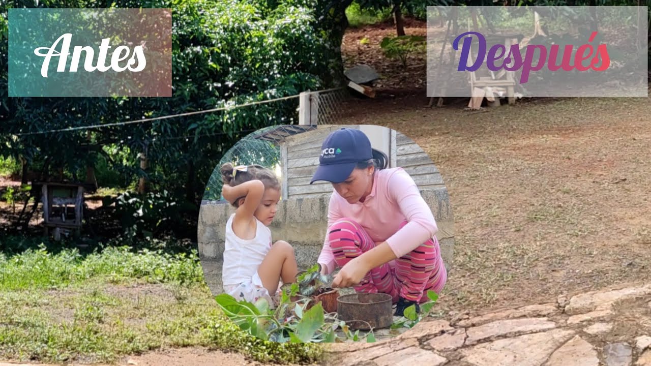 Increíble Transformación del Patio ✨ Nuevas Ideas en Proceso🌷🌺