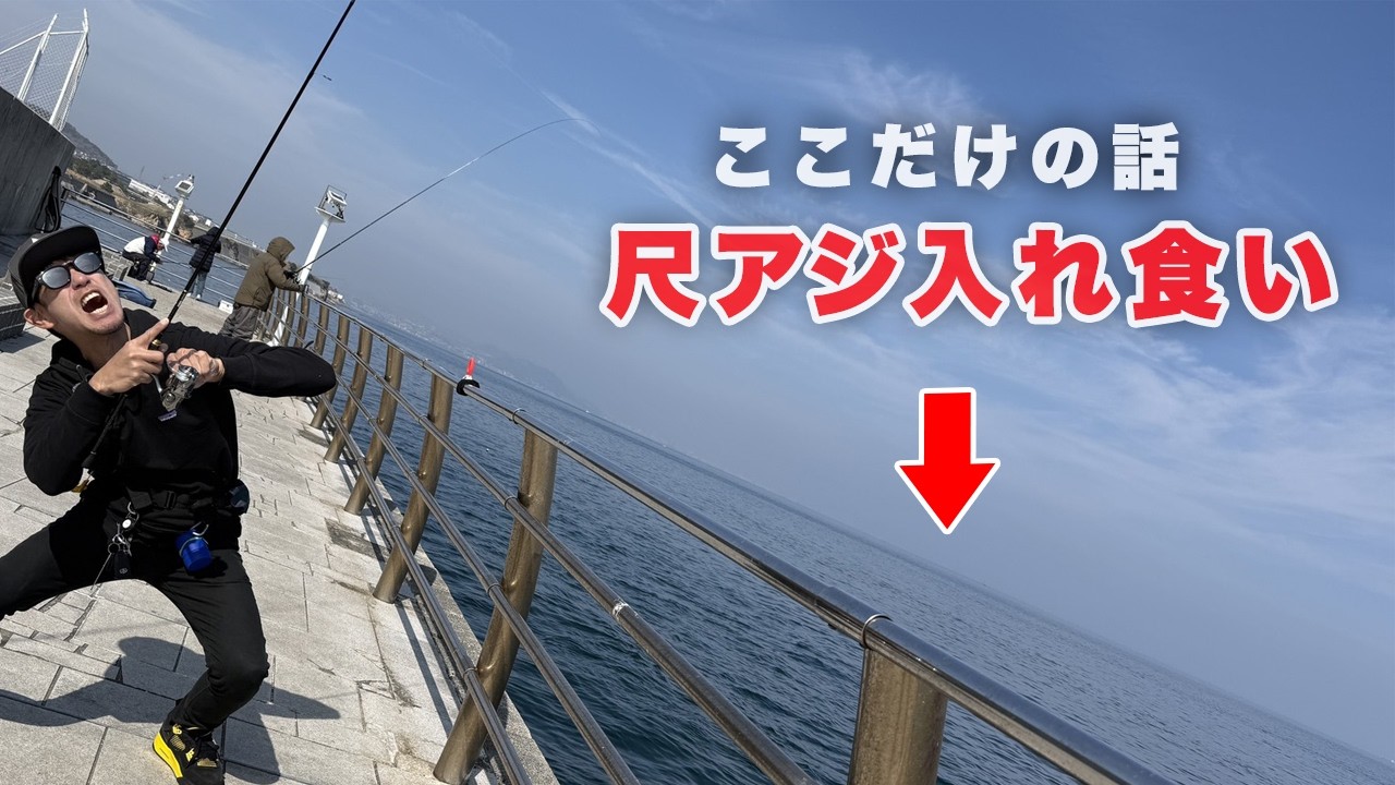 【速報】尺アジがサビキでバンバン釣れたんだが、、、、