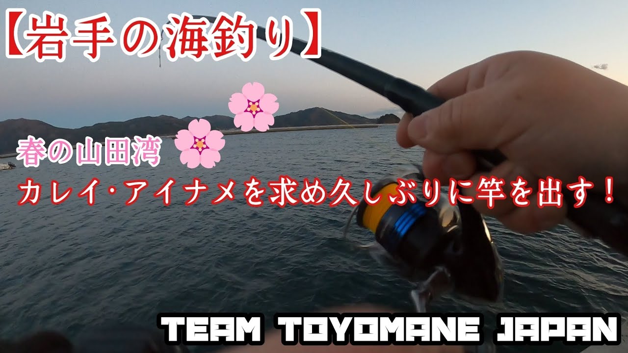 【岩手の海釣り】春の山田湾 カレイ・アイナメを求め久しぶりに竿を出す！
