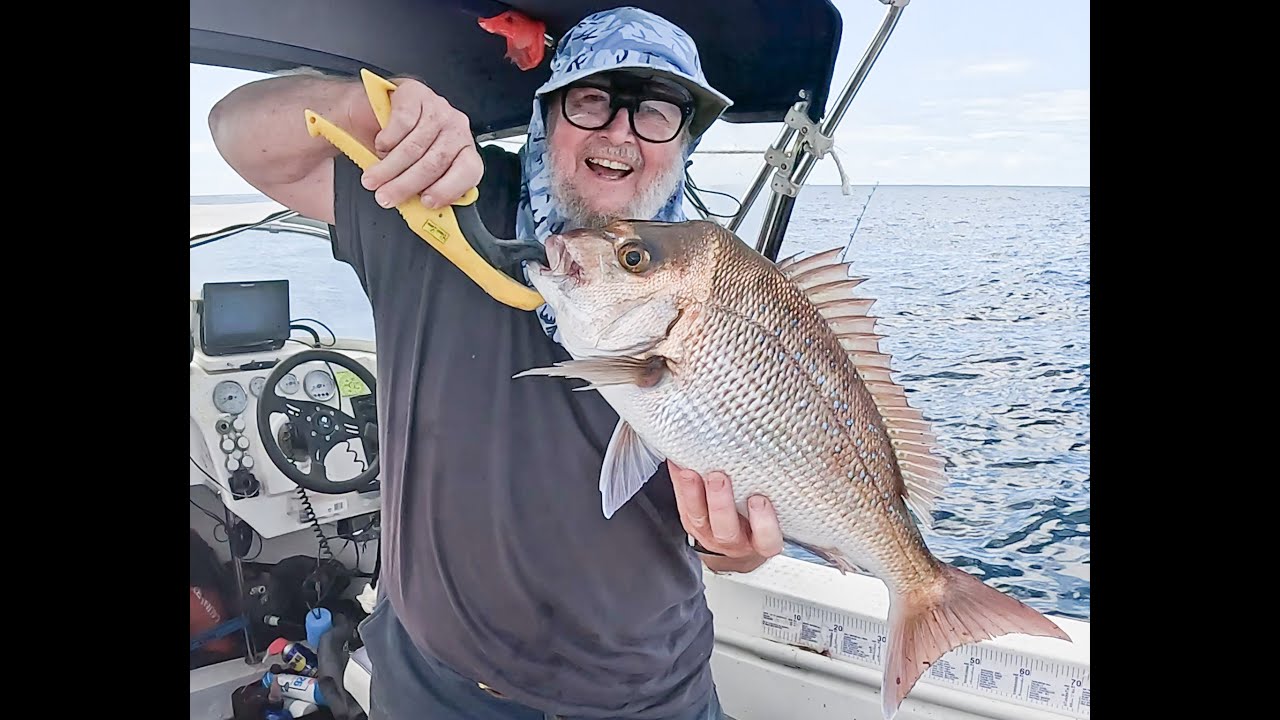 What's biting inshore Sunshine Coast QLD Summer. Try to catch fish for visitors.